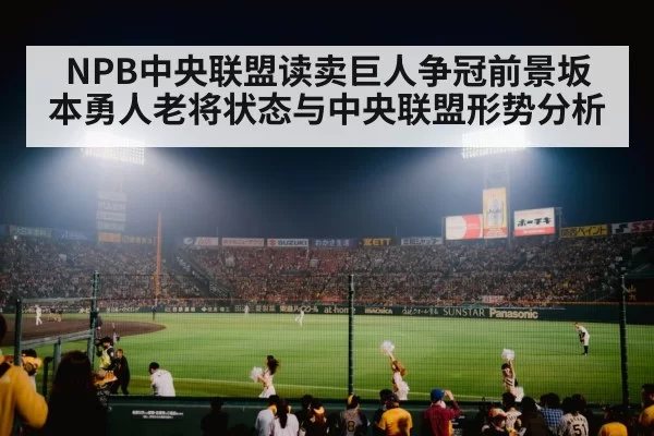 baseball stadium crowd night